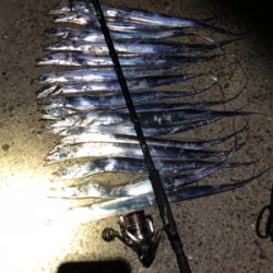 教えるつもりが教えてもらう事に