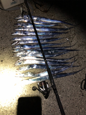 教えるつもりが教えてもらう事に