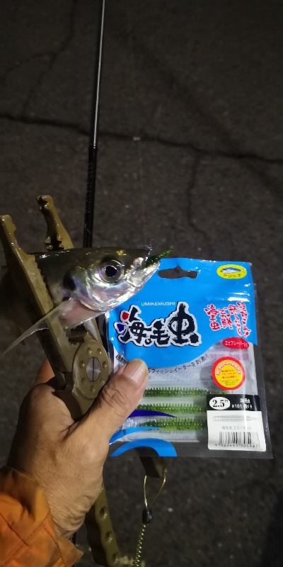 アジング練習 202