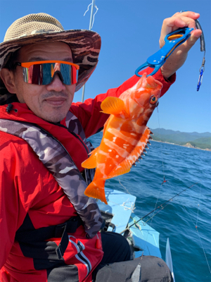 アカハタ狙いボート釣行