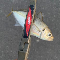 違和感を掛ける