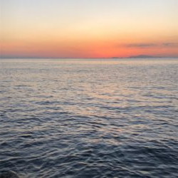 何とかかんとか