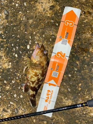 寒くなってきた