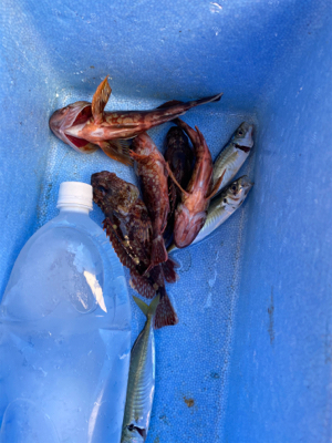 カヤックフィッシング2回目