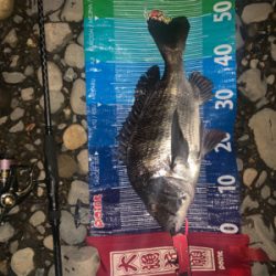 前回に続きd(^_^o)