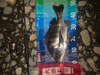 前回に続きd(^_^o)