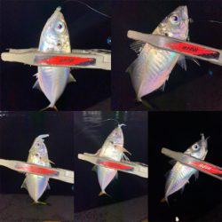 常夜灯　ボトムドリフト