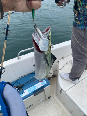 マイボート釣行