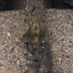 仕事終わりに2時間だけ。