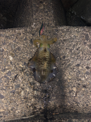 仕事終わりに2時間だけ。