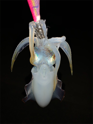 川久エギング&デカエソ