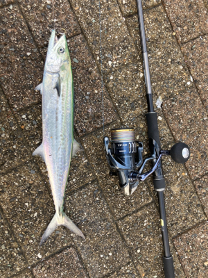 朝晩寒くなってきました！