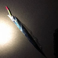 ウェーディングでさえもタチウオ