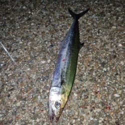 ランガンでズドン