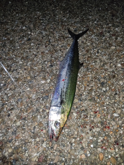 ランガンでズドン