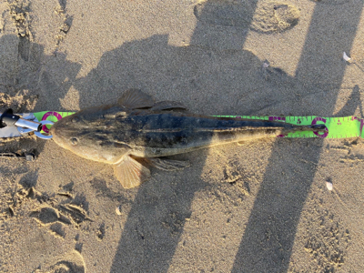 シーズン終盤に