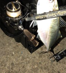 爆風アジング(1時間)