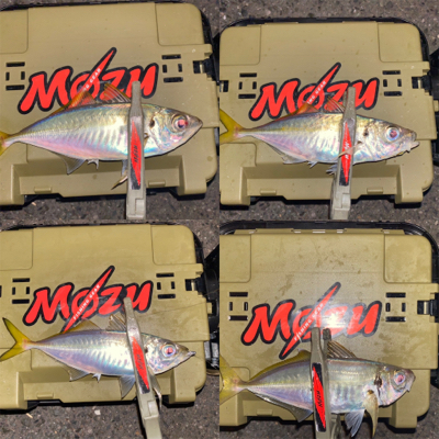 違和感で掛ける