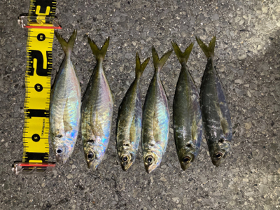 フロートアジング