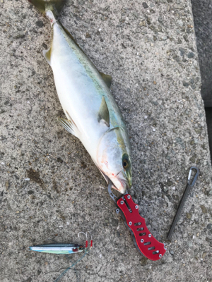 土日トレーニング