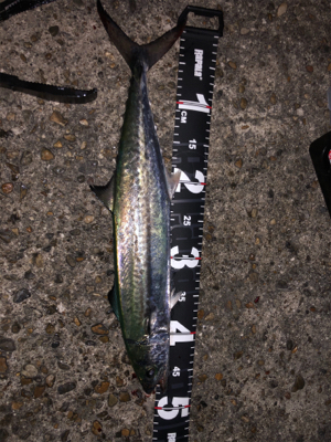 いつものところで