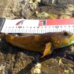 くちびる真っ青。アナハゼです！