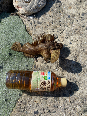 秋のファミリーフィッシング