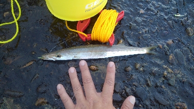 小物ばかり(>_<)