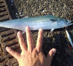 なんとかボウズわ逃れました