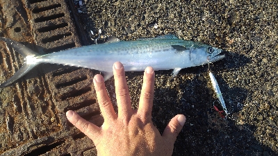 なんとかボウズわ逃れました