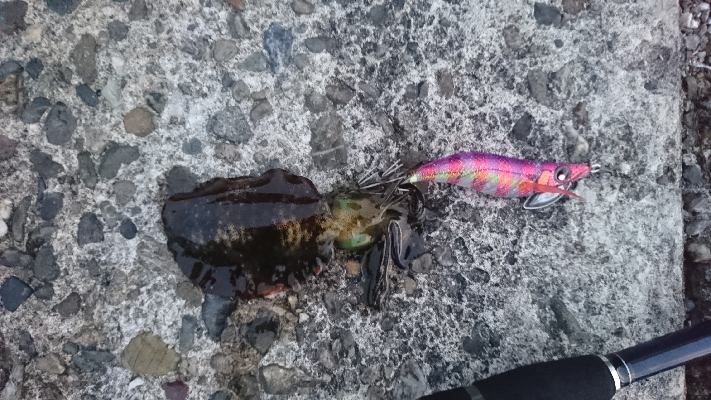 カニクリームコロッケ