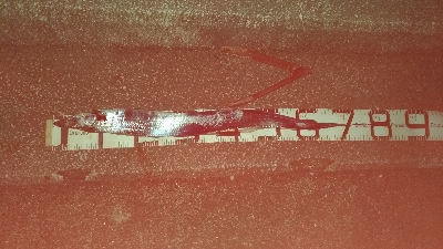 10/13釣果タチウオ釣れたー