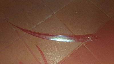 10/20釣果タチウオ渋い…