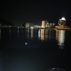 なんとか釣れた