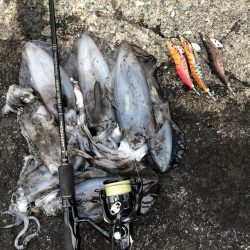 佐渡ヶ島エギング 32回目