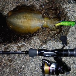 おニューロッドで(^^)