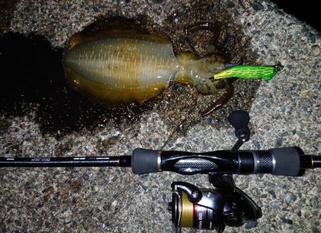 おニューロッドで(^^)