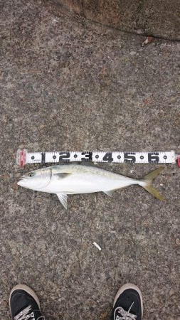 二人で青物狙い☺