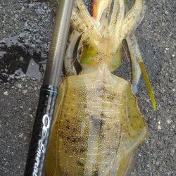 ポイント変えて?