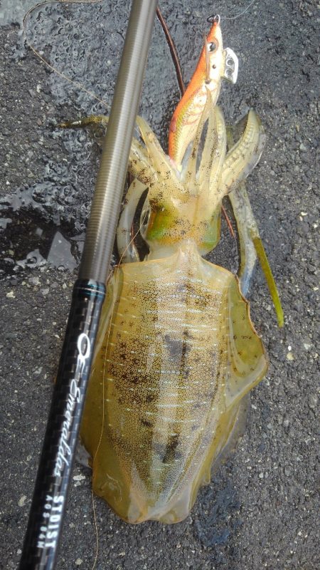 ポイント変えて?