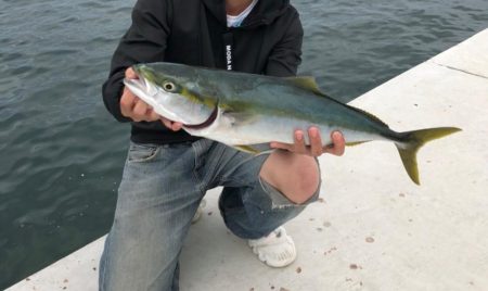 ジギングでハマチサイズ