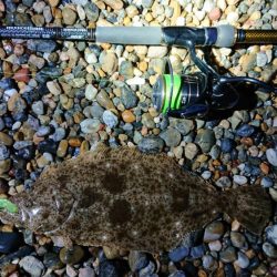 サーフ調査釣行 2020後期-1