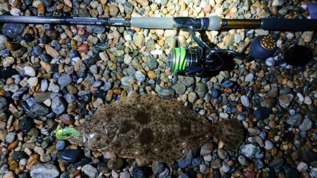 サーフ調査釣行 2020後期-1