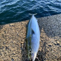 ショアジギング