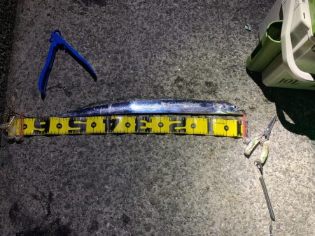 タチウオ　ウキ釣り