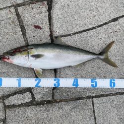 ショアジギング