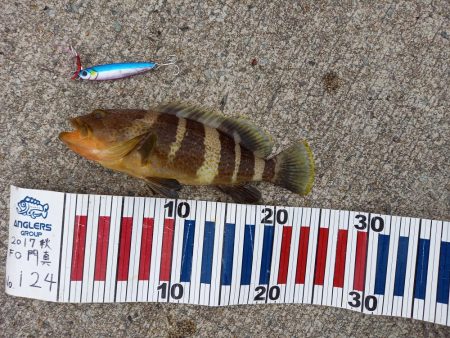 ショアジギングでロックフィッシュpart2…