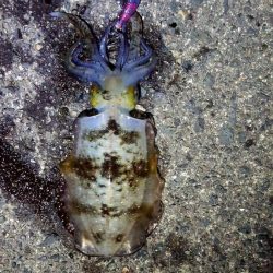 貸し切りでした