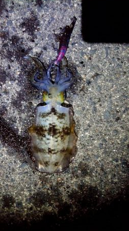 貸し切りでした