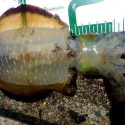 一番いい朝でした。